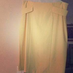 Eva Mendes plus size high waist skirt